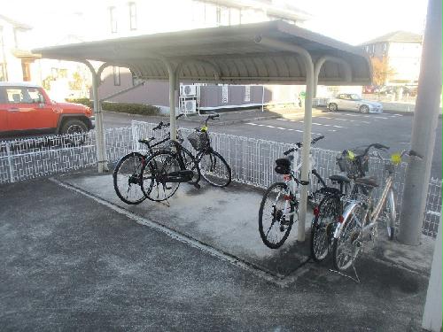 11/14 その他画像