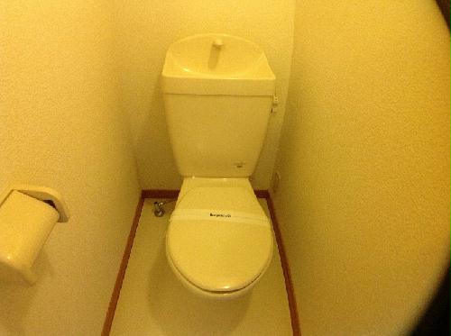 11/23 その他画像