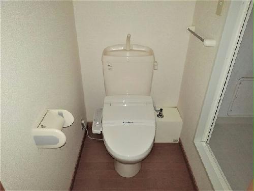 11/14 その他画像