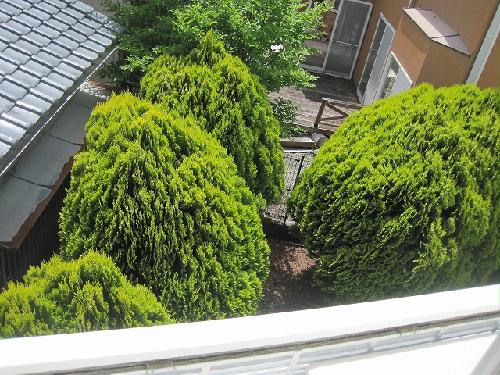 12/19 その他画像