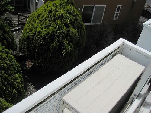 13/19 その他画像