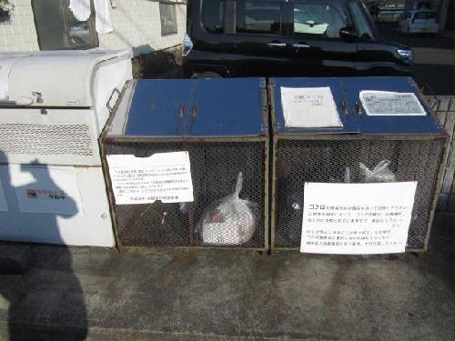 11/22 その他画像