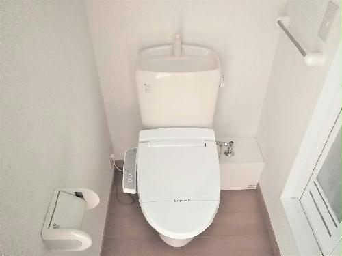 11/14 その他画像