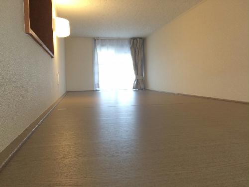 9/13 その他画像