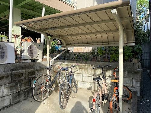 11/15 その他画像