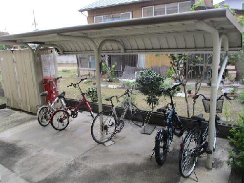 11/23 その他画像