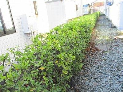 12/19 その他画像