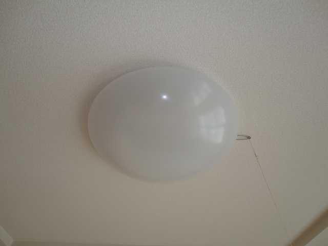 20/29 その他画像