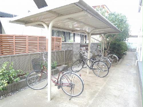 11/14 その他画像