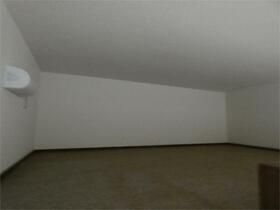 11/11 その他画像