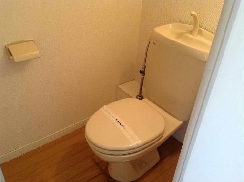 7/12 その他画像