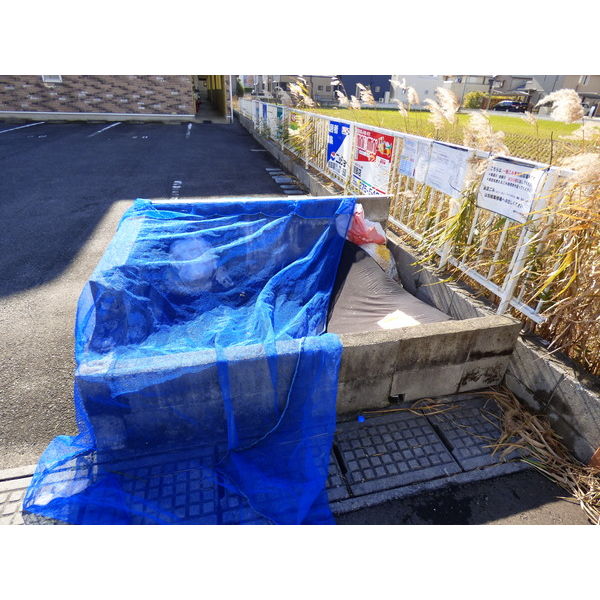 15/19 その他画像