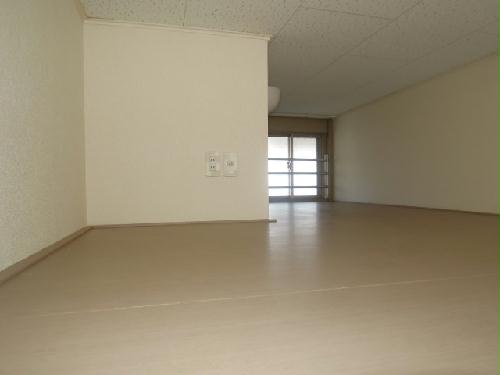 8/12 その他画像