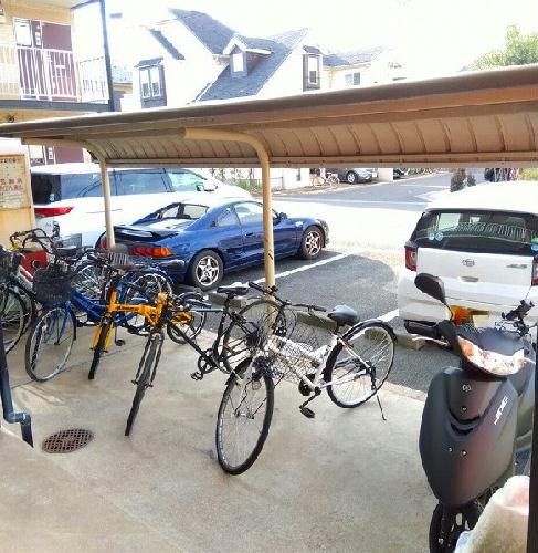 11/14 その他画像