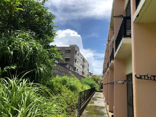 12/14 その他画像