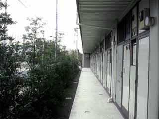 12/22 その他画像