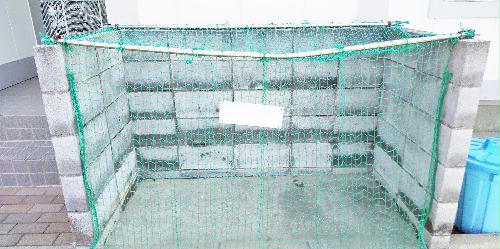 10/14 その他画像