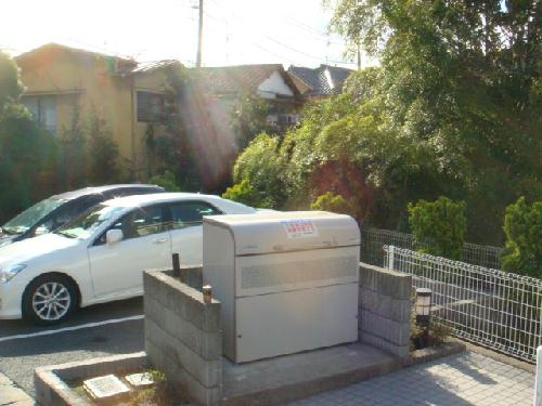 11/15 その他画像