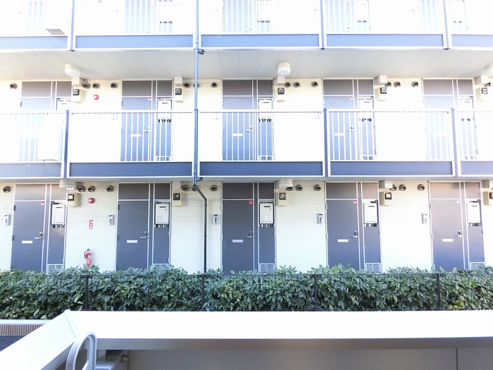 17/25 その他画像