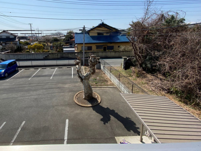 17/30 その他画像