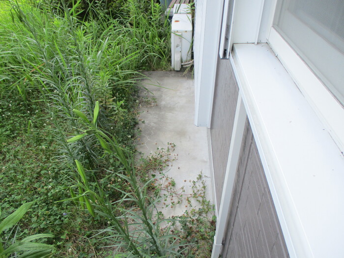 14/16 その他画像