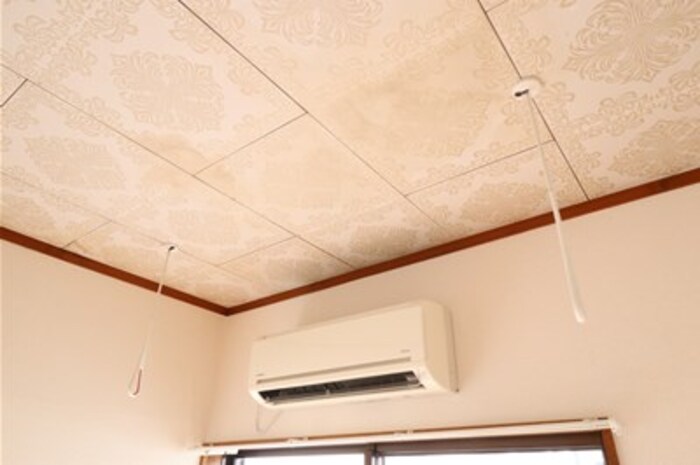 14/14 その他画像