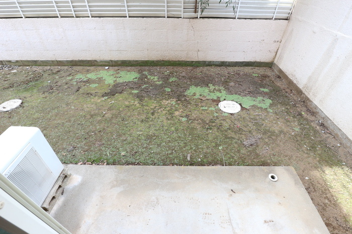 13/15 その他画像