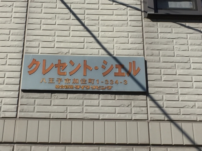 6/19 その他画像