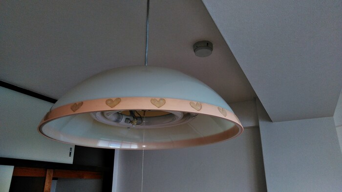 11/25 その他画像