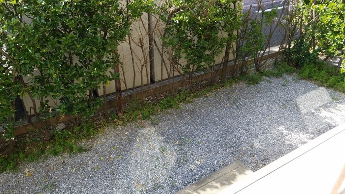 11/15 その他画像