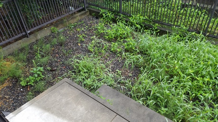 14/20 その他画像