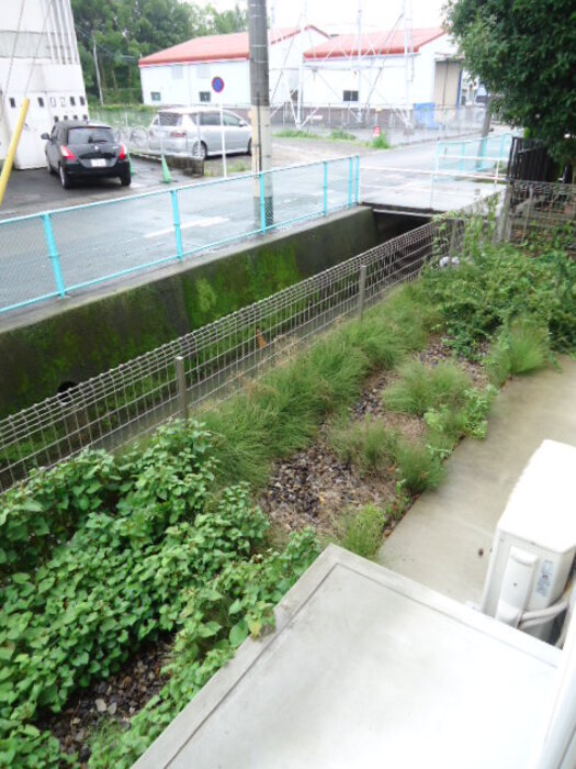 11/20 その他画像