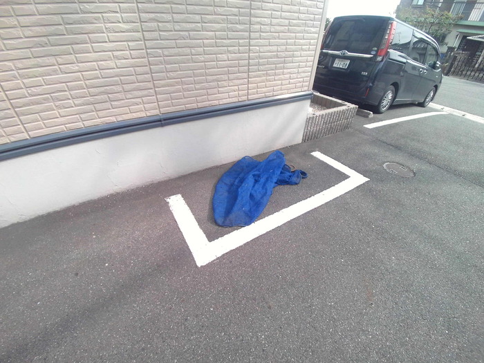 15/18 その他画像