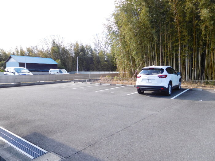 17/21 その他画像