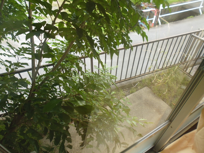 12/19 その他画像