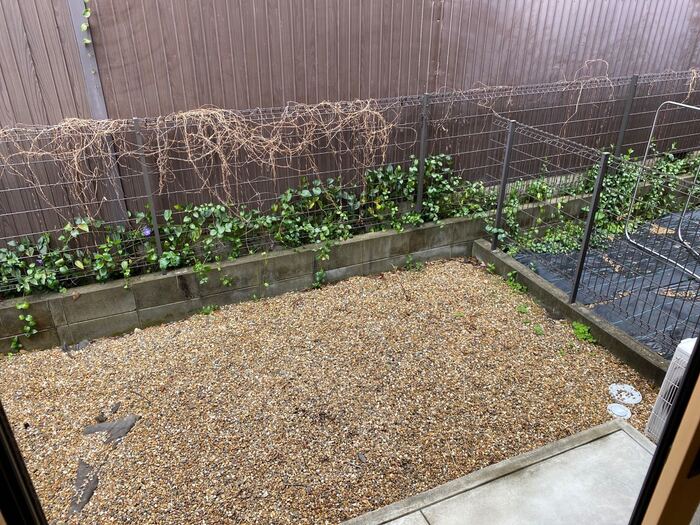 12/20 バルコニー