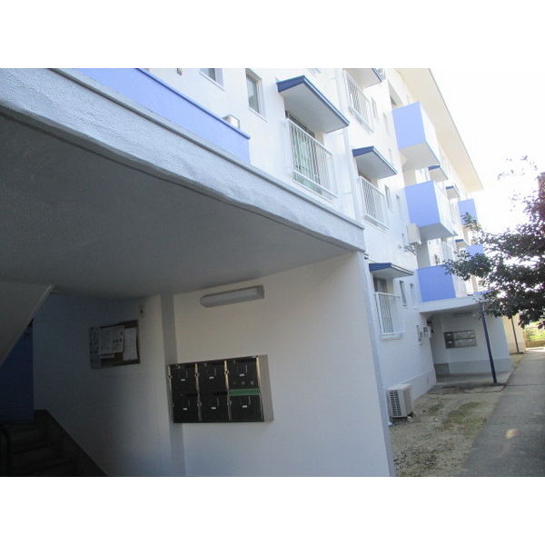 13/18 その他画像