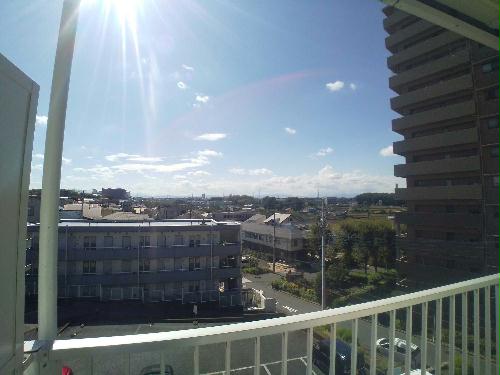 13/15 その他画像