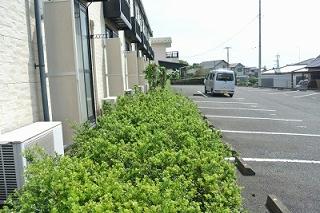 13/14 その他画像