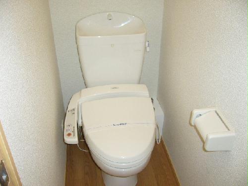 14/19 その他画像