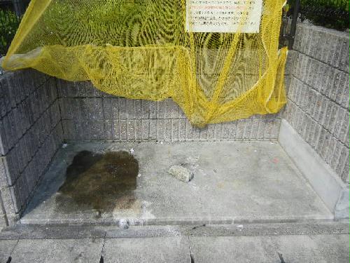 9/17 その他画像