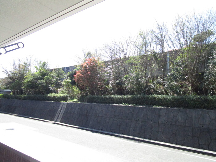 19/20 その他画像