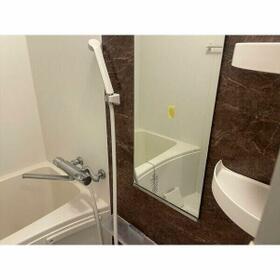 11/11 その他画像