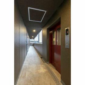 5/11 その他画像