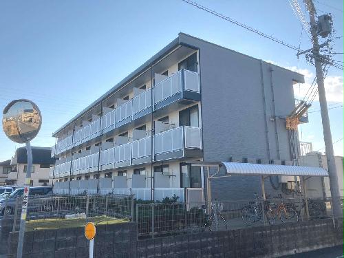 8/13 その他画像