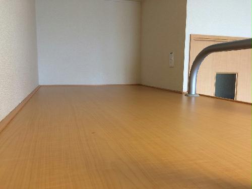 11/19 その他画像