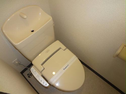 11/16 その他画像