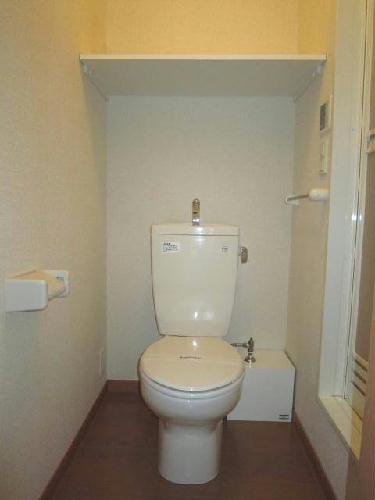 8/24 その他画像