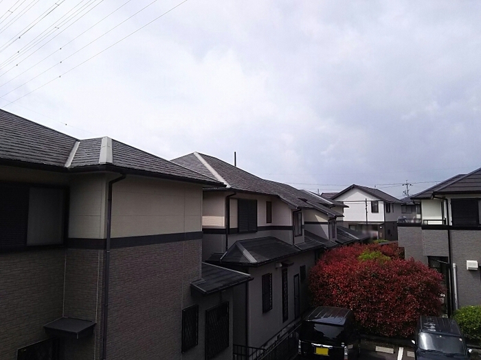 16/19 その他画像