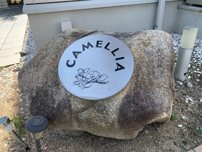 15/30 その他画像